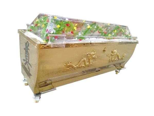 ice coffin ice coffin