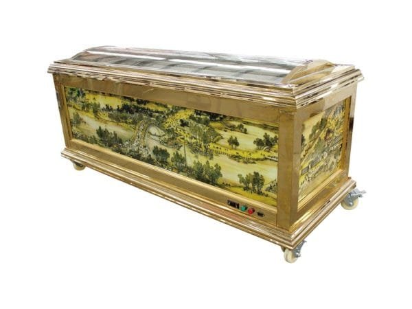 portable refrigerated coffin